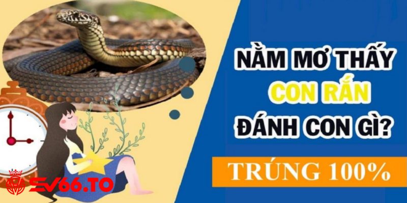 Các con số nằm mơ thấy rắn cập nhật cho lô thủ