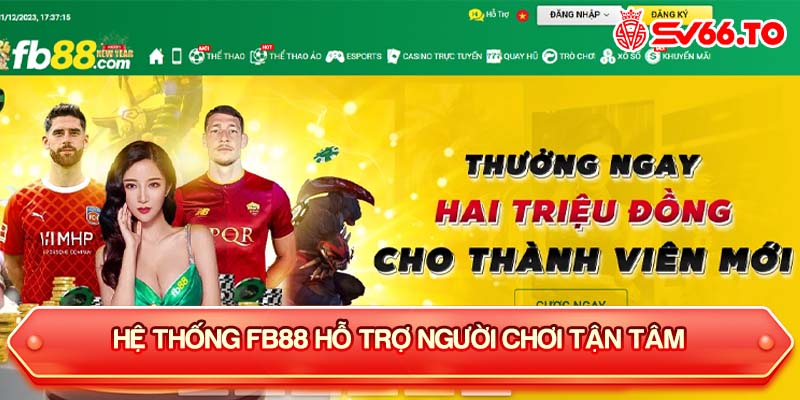 Hệ thống Fb88 hỗ trợ người chơi tận tâm