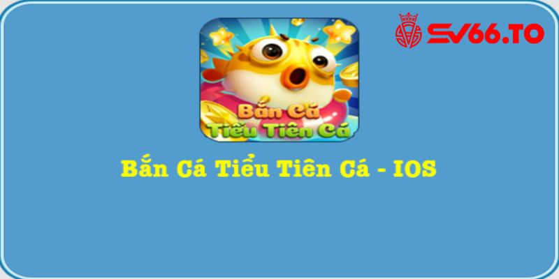 Bắn cá tiểu tiên cá - Sức hấp dẫn từ lòng biển sâu không nên bỏ lỡ