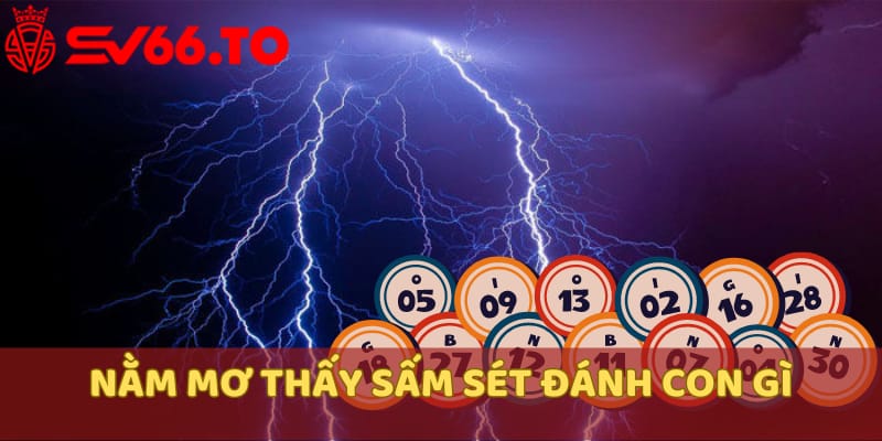 nam-mo-thay-sam-set-danh-con-gi-de-trung-lon