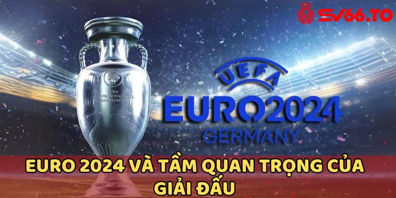 nhin-lai-euro-2024-mot-giai-dau-mang-tam-co-quoc-te